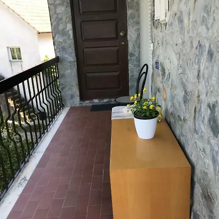 Dds-dominio Sem&ntes Vouzela