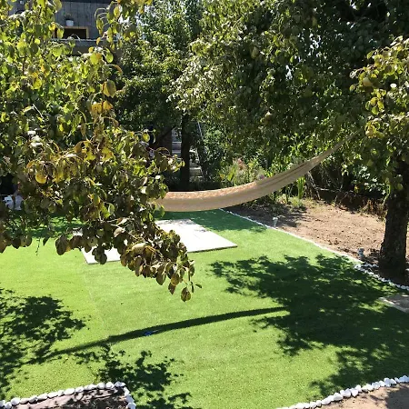 Dds-dominio Sem&ntes * Vouzela