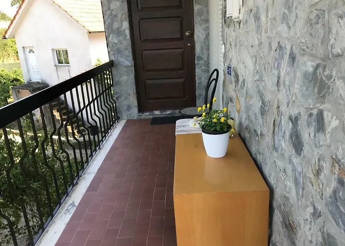 Dds-dominio Sem&ntes فوزيلا