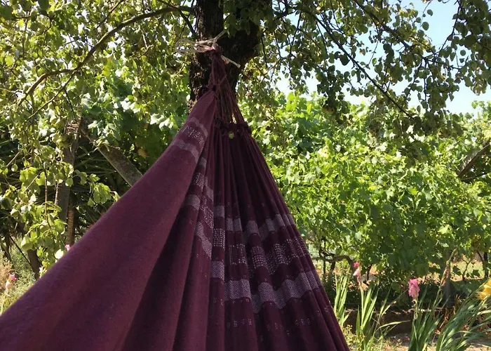 Dds-dominio Sem&ntes شقة *