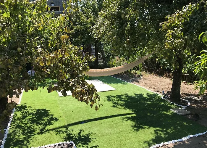 Dds-dominio Sem&ntes * فوزيلا